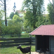 MALÁ ZOO